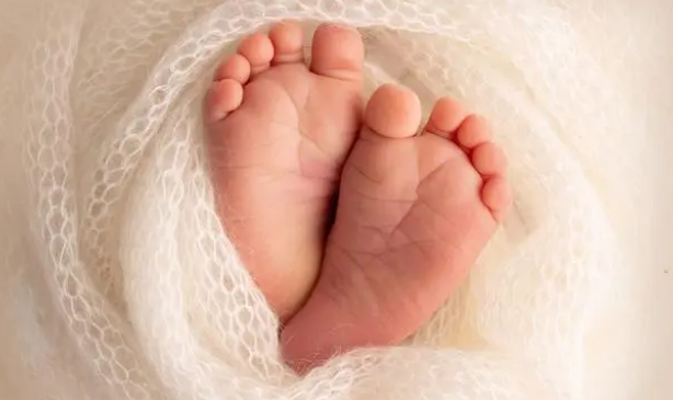 1688721490683169.png 99.png