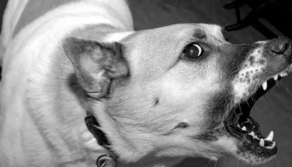 1693798883486536.png 99.png