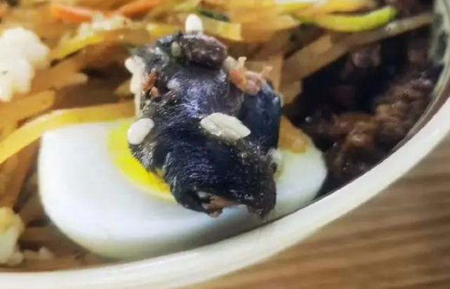 1696992453145684.png 99.png