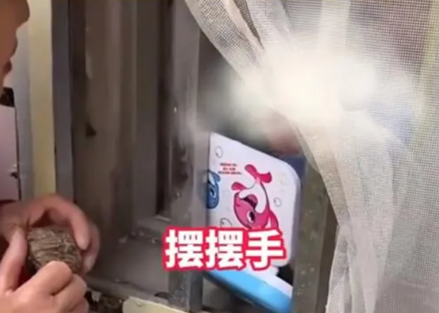 1697254146893275.png 99.png