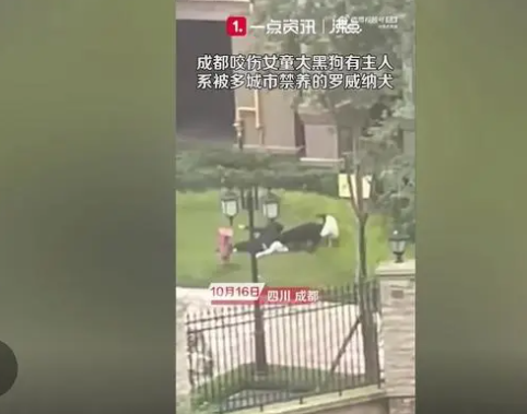 1697505815708306.png image.png