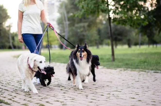 1697522881702232.png 99.png