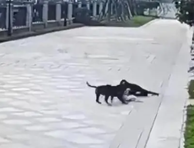 1697597960218189.png image.png