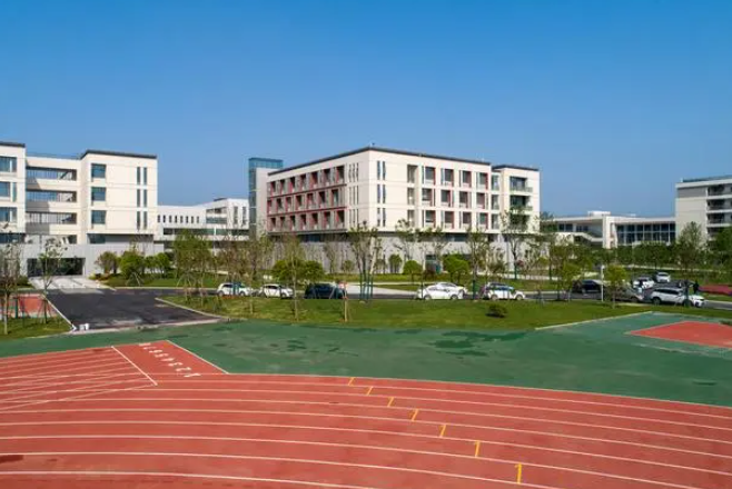 1698635257236394.png 99.png