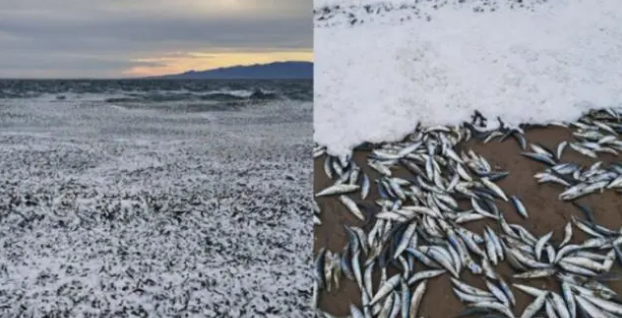 1702864391316925.png image.png