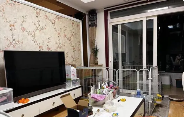 1702953526696330.png image.png