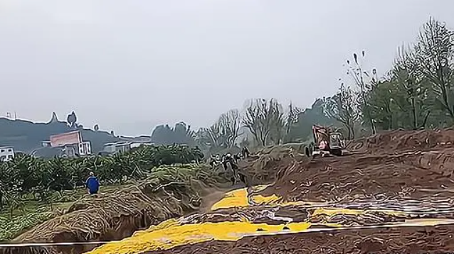 1703732371929448.png image.png