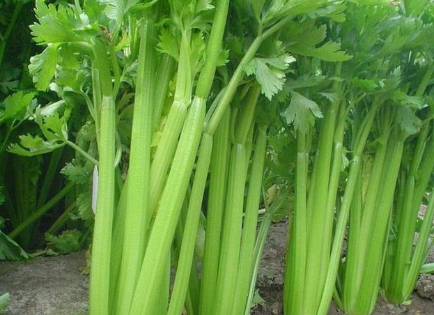 1704767359605289.png image.png