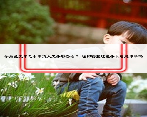 孕婦坐火車怎么申請(qǐng)人工手動(dòng)安檢?,輸卵管腹腔鏡手術(shù)后能懷孕嗎