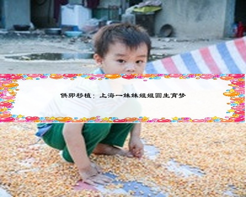 供卵移植:上海一妹妹姐姐圓生育夢(mèng)