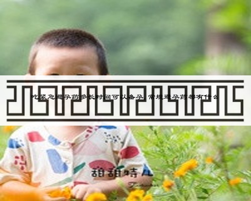 吃緊急避孕藥多長時間可以備孕,常規避孕藥都有什么