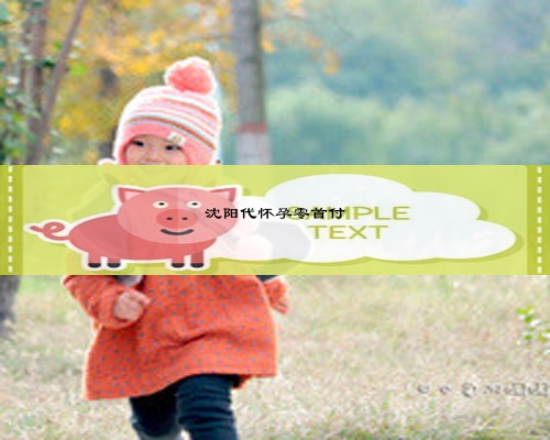 沈陽代懷孕零首付