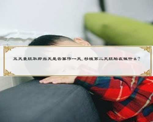 五天囊胚取卵當天是否算作一天,移植第二天胚胎在做什么?