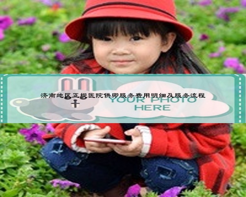 濟南地區正規醫院供卵服務費用明細及服務流程