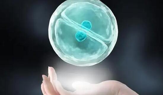 東莞供卵試管 東莞哪里的醫(yī)院做試管成功率比較高?市醫(yī)院怎么樣? ‘四維報(bào)告怎么看男孩女孩’