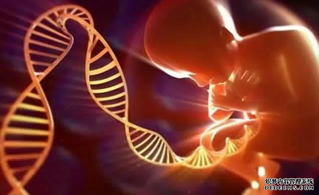 月經過后什么時間最容易懷孕?排卵期精確計算方式