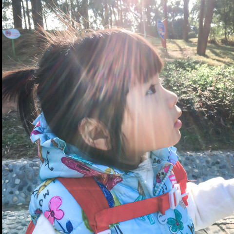 上海紅房子試管費用 上海市第六人民醫院介紹 ‘17周的彩超單子怎么看男女’