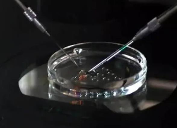 長(zhǎng)沙試管供卵 長(zhǎng)沙正規(guī)供卵試管醫(yī)院名單 ‘四維彩超通過胎心率可以看出男女嗎’