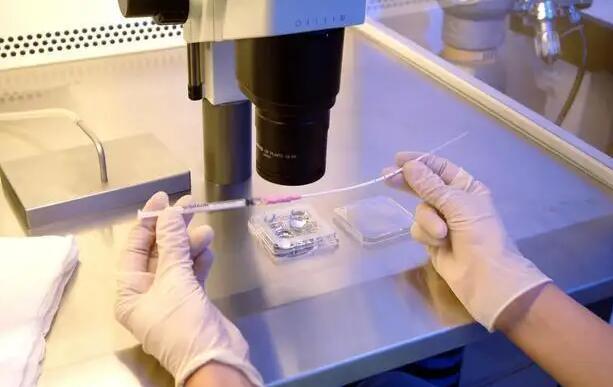 上海試管報銷 國內(nèi)試管成功率最高的醫(yī)院：有上海幾個? ‘孕囊1.8*1.7*1.2是男寶還是女寶’