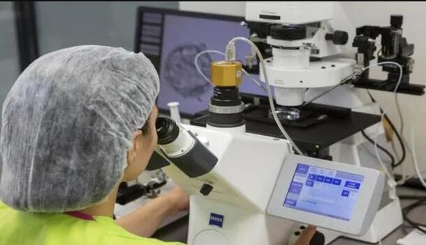 臨沂試管供卵 臨沂市婦幼保健院生殖醫學中心 ‘孕囊3.8厘米*2.3厘米*3.7厘米是男孩還是女孩’