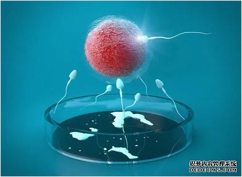 廣西供卵不排隊 2022廣西壯族自治區生殖醫院前十排名公布,附試管費用估算及成功率 ‘b超如何測男女’