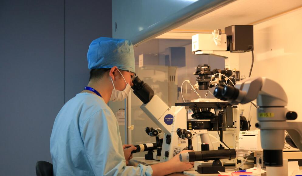 天津三代試管成功率找南方試管機構 2023天津983醫(yī)院能做第三代試管嬰兒嗎？ ‘彩超里男孩和女孩圖片’