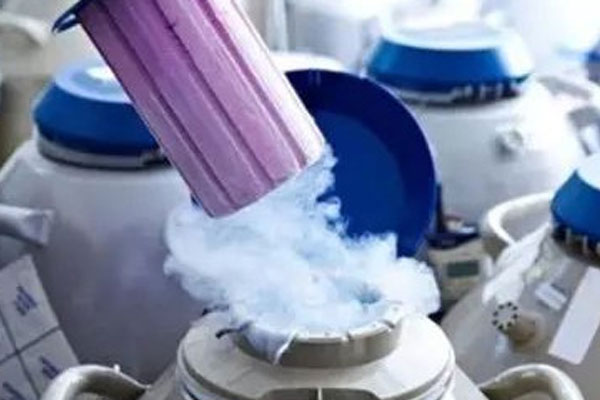 西安試管醫院做試管有沒有不成功退費 2023在西安試管嬰兒成功率有多高? ‘男孕囊和女孕囊的區別’