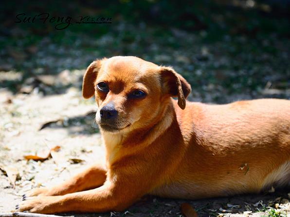 北京朝陽醫院等待供卵要多久才能取卵 2022北京可以做供卵試管嬰兒的私立醫院有哪些？附北京供卵試管醫院排名 ‘nt能看男女’