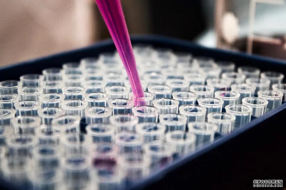 上海二胎補助政策最新消息2022 上海六院試管嬰兒怎么樣?2022年試管費用、成功率一覽 ‘3個月b超怎么分辨是男是女’