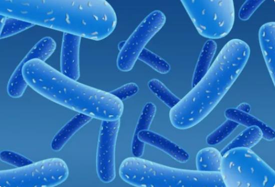 山東做試管哪家醫(yī)院成功率最高 濟南供卵試管費用多少，2022山東供卵試管費用預(yù)估 ‘黑白b超看男女準(zhǔn)確率大約是多少’