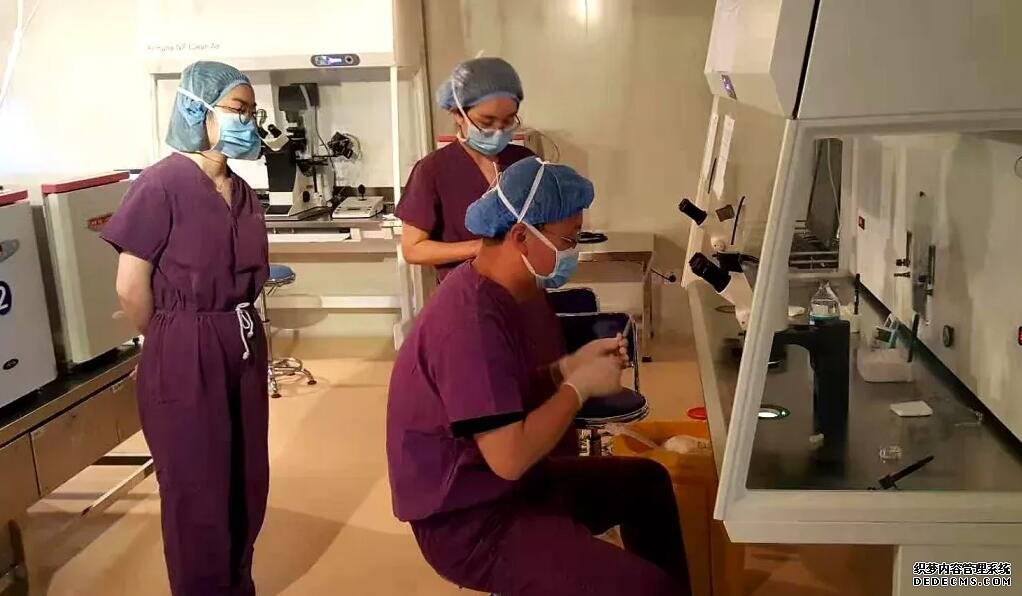 江蘇二胎三胎獎勵政策 2022江蘇省人民醫(yī)院供精試管費用： ‘16周b超單子數(shù)據(jù)看男女’