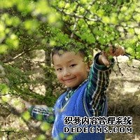 山東做試管嬰兒從檢查到移植全部費用大概是多少？