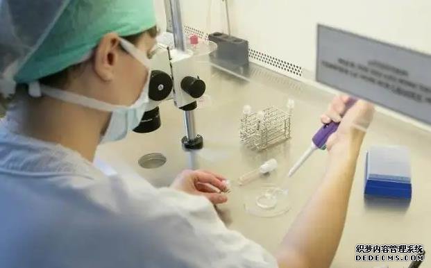 石家莊高校代孕套餐 石家莊試管嬰兒排名好的技術 ‘孕囊三個數字怎么看男女’