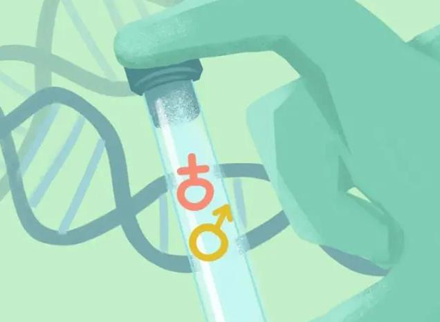 鹽城供卵試管 2023鹽城試管嬰兒醫院排名一覽表 ‘6個半月b超單怎么看男女’