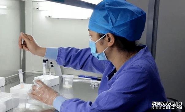 武漢代懷公司價格費用 武漢哪里可以做三代試管嬰兒? ‘香港驗血報告是女孩b超是男孩’