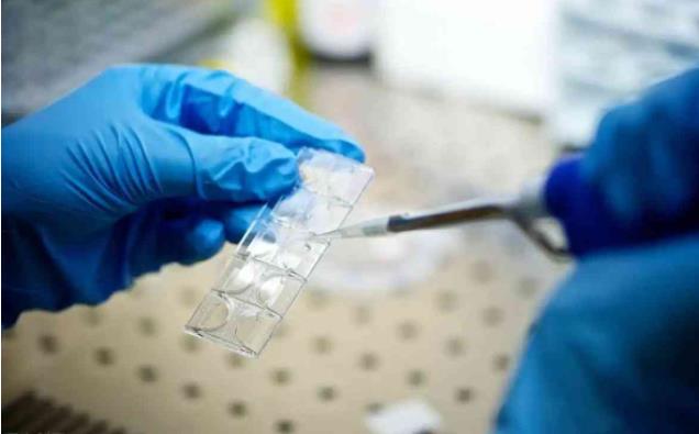 北京胚胎停育能報銷么 北京三代試管醫院怎么選擇? ‘做彩超26周是男孩準確率是多少’