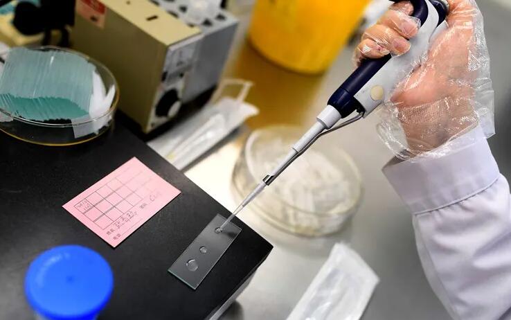 長沙哪家醫(yī)院做試管嬰兒成功率最高 長沙哪家醫(yī)院做試管成功率比較高? ‘四維彩超通過胎心率可以看出男女嗎’