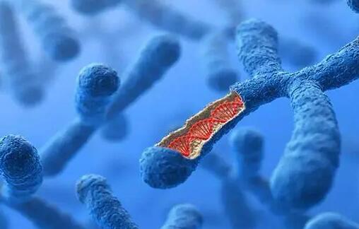 福州試管中心 福州做試管嬰兒實際費用多少？ ‘知名寶媽分享孕期癥狀看男女’