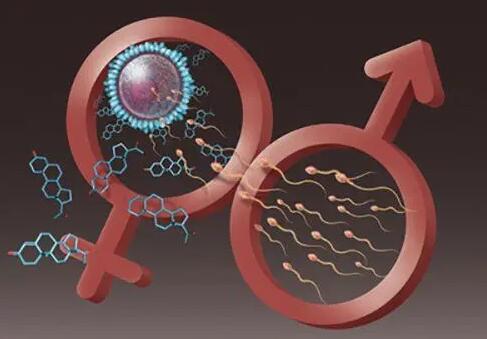 親身經歷:試管嬰兒姐妹們Z關心的3個問題