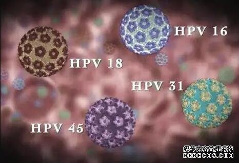 惠州園洲哪里有私人醫院B超看男女 廣東惠州試管醫院排名：為什么越來越多人關注排名？ ‘b超腿短是男孩多還是女孩多’