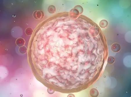 金華第三代試管嬰兒流程來啦！