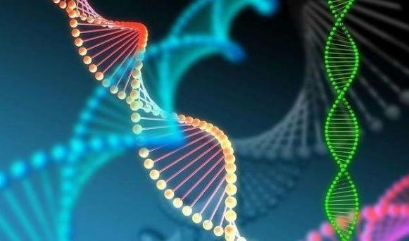 三代試管廣東 廣東做人工授精成功率醫(yī)院排名如何進行了解?是否費用會變得更高 ‘孕期征兆暗示你生男孩!在左邊還是右側(cè)’