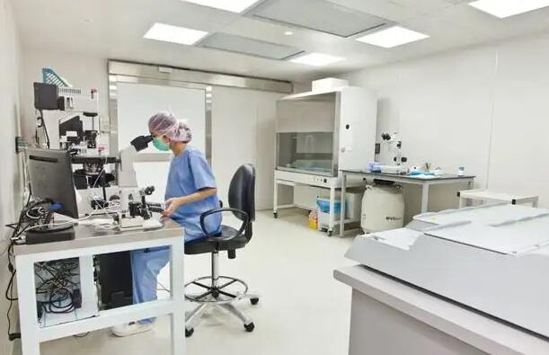 秋季如何備孕，為泰國試管嬰兒加分？