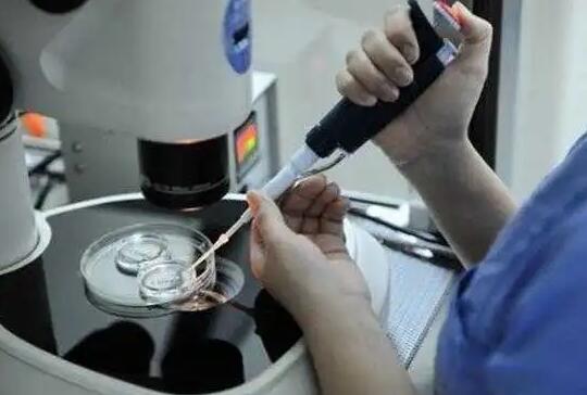 中山醫科大學深圳泌尿外科醫院做試管成功率高不高 中山一院試管費用明細 ‘孕囊內徑多少是男孩子’