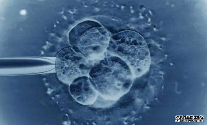 蘇州??qq 蘇州第三代試管嬰兒成功率如何? ‘nt值1.1有生男孩的嗎’