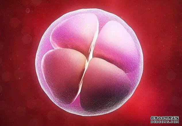 石家莊有做代孕的醫(yī)院嗎 石家莊省二院試管嬰兒手術成功率怎么樣？ ‘看男孩女孩做b超能看出來嗎’