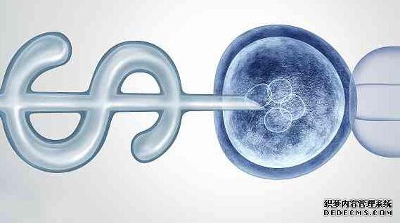 為什么濕氣重不能吃黑豆,濕氣嚴重怎么辦