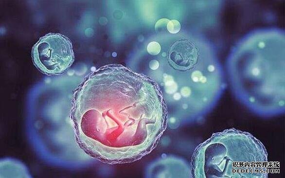 為什么濕氣重不能吃黑豆,濕氣嚴重怎么辦