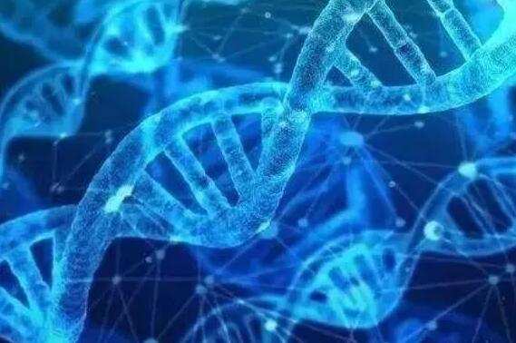 做試管需要辭職嗎?北京試管嬰兒醫院哪家好?