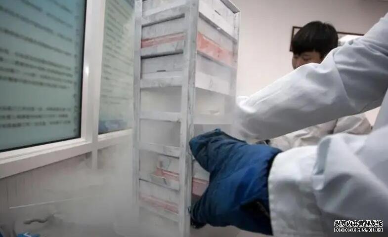 365助孕中心官網(wǎng)_孕無憂是什么意思_國(guó)內(nèi)哪里有包生男孩的試管嬰兒醫(yī)院?可靠嗎?